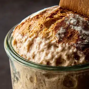 Sourdough Starter