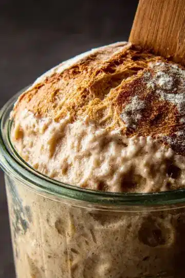 Sourdough Starter