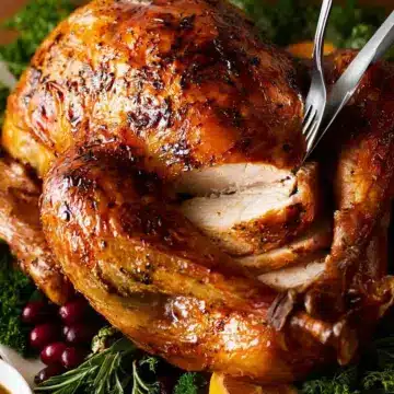Juicy Roast Turkey