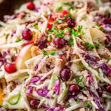 Cranberry Apple Coleslaw