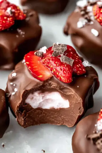Chocolate Strawberry Frozen Yogurt Bites – Easy